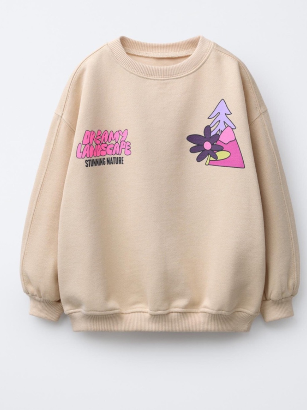 Zara Toddler Girl Dreamy Landscape Sweatshirt 4T